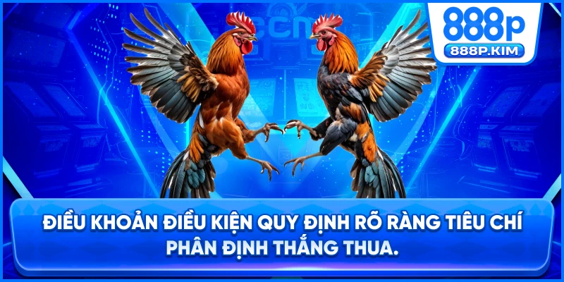 Điều khoản điều kiện quy định rõ ràng tiêu chí phân định thắng thua.